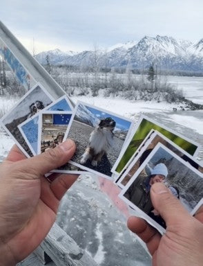 Photo Magnets